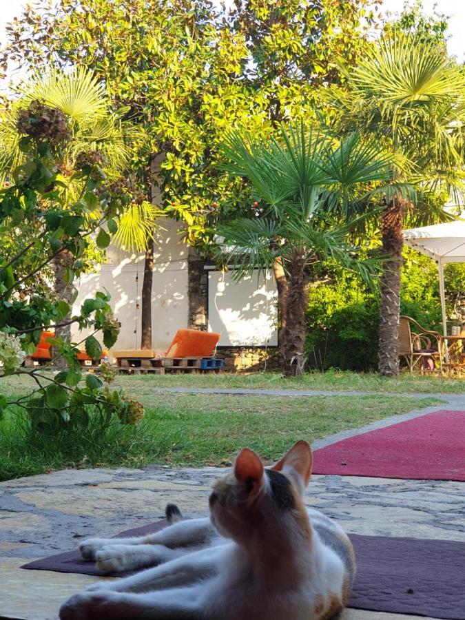 Barlin Guesthouse Grill&Camping Shkodra Exterior foto