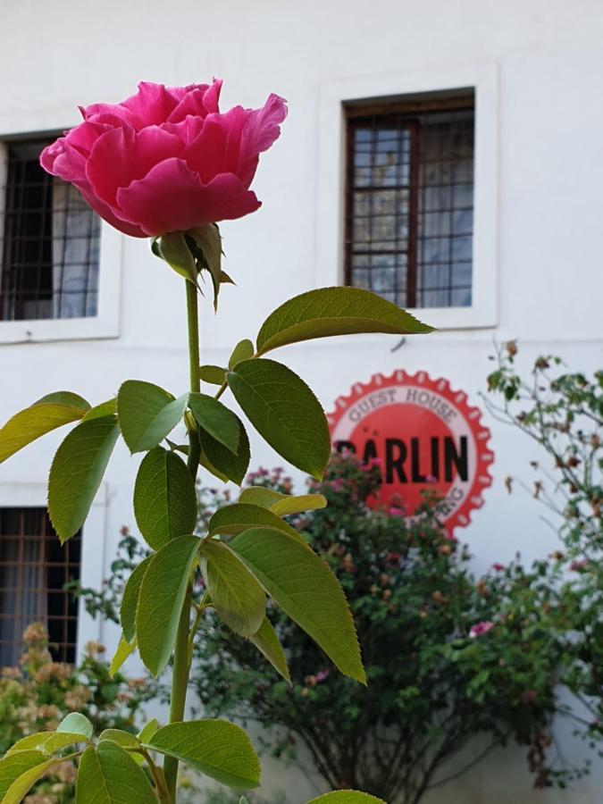Barlin Guesthouse Grill&Camping Shkodra Exterior foto